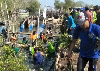 Wakil Bupati Demak KH Ali Makhsun bersama Generasi Muda Penerus Daerah Demak (Tim Garuda) tanam 2.000 mangrove di Desa Bedono Sayung, Demak, Jawa Tengah, 13 Mei 2022. Dok: Kontributor KIM Demak.