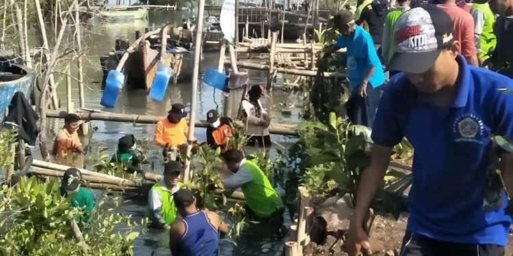 Wakil Bupati Demak KH Ali Makhsun bersama Generasi Muda Penerus Daerah Demak (Tim Garuda) tanam 2.000 mangrove di Desa Bedono Sayung, Demak, Jawa Tengah, 13 Mei 2022. Dok: Kontributor KIM Demak.