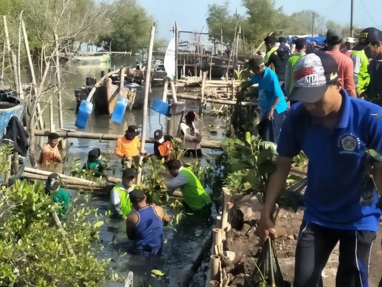 Wakil Bupati Demak KH Ali Makhsun bersama Generasi Muda Penerus Daerah Demak (Tim Garuda) tanam 2.000 mangrove di Desa Bedono Sayung, Demak, Jawa Tengah, 13 Mei 2022. Dok: Kontributor KIM Demak.
