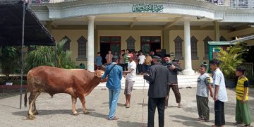 Pelaksanaan Kurban di Ponpes Minhajurrosyidin, Ambulu, Jember, Minggu (10/7). Dok: LDII Jember.
