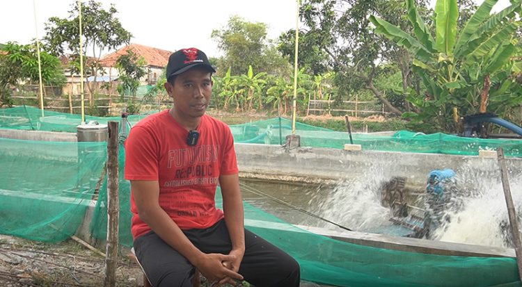 Ahmad Hamam, warga LDII Lamongan, budidaya udang vaname dengan memanfaatkan energi baru terbarukan (ETB). Dok: LINES.