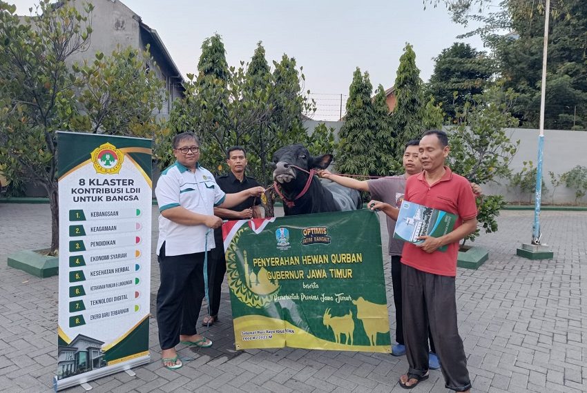Gubernur Jawa Timur Khofifah Indar Parawansa melalui staf Pemprov menyerahkan satu ekor sapi kurban pada pengurus DPW LDII Jawa Timur, Rabu (28/6). Dok: LINES.