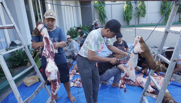 Panitia kurban memotong daging sapi pada perayaan Idul Adha 1445 H di Komplek Kantor DPW LDII Jawa Timur, Selasa (18/6). Dok: LINES.
