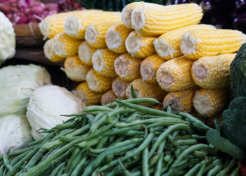 Hari Gizi Nasional 2026, LDII Dorong Pemenuhan Gizi Seimbang dari Pangan Lokal