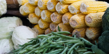 Hari Gizi Nasional 2026, LDII Dorong Pemenuhan Gizi Seimbang dari Pangan Lokal