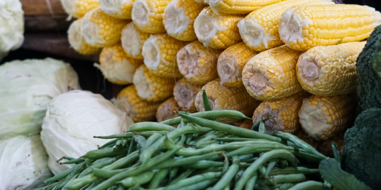 Hari Gizi Nasional 2026, LDII Dorong Pemenuhan Gizi Seimbang dari Pangan Lokal